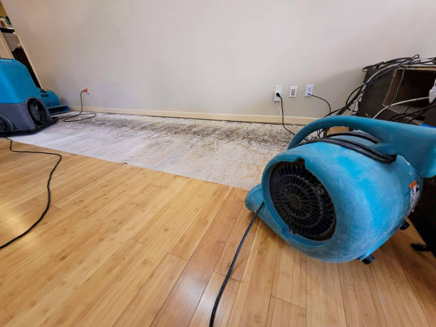 Professional Emergency Water Damage technician working in Hopkins, MN